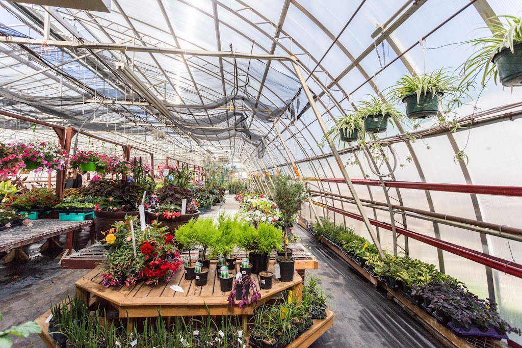 Rehoboth Garden Centre & Wood Products | 1222 20th St, Coaldale, AB T1M 1N1, Canada | Phone: (403) 345-5199