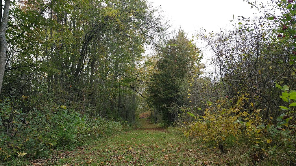 Upper Beveridges Lockstation | Port Elmsley Rd, Drummond/North Elmsley, ON K7H 3C7, Canada | Phone: (613) 267-2036