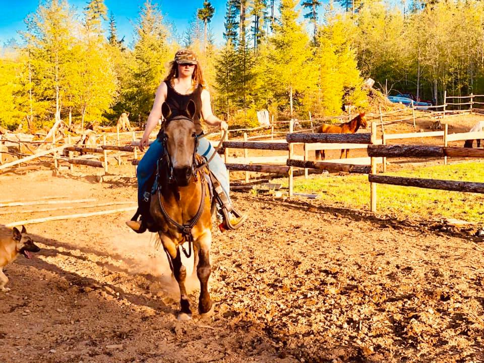 Maple Heart Ranch - Homestead | 1890 Sooke Lake Rd, Shawnigan Lake, BC V0R 2W3, Canada | Phone: (250) 806-0024