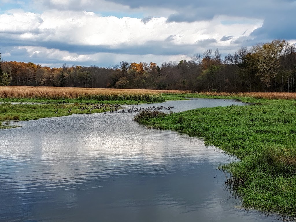 King’s Mill Conservation Area | 1119 Wellmans Rd, Stirling, ON K0K 3E0, Canada | Phone: (613) 394-4829