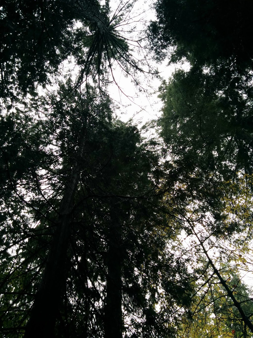 Chatwin Park | West Vancouver, BC V7T, Canada