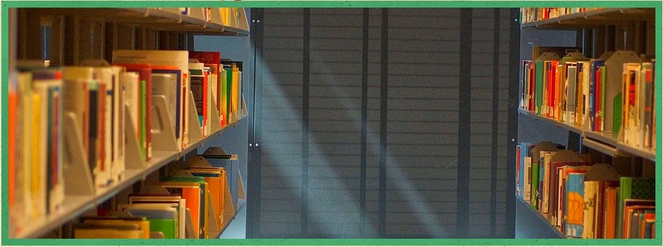 XL Tutoring | 2428 Islington Ave Suite 208, Etobicoke, ON M9W 3X8, Canada | Phone: (416) 333-7519