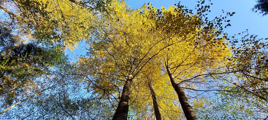 Hoy Creek Linear Park | Coquitlam, BC V3B 7C6, Canada | Phone: (604) 927-3000