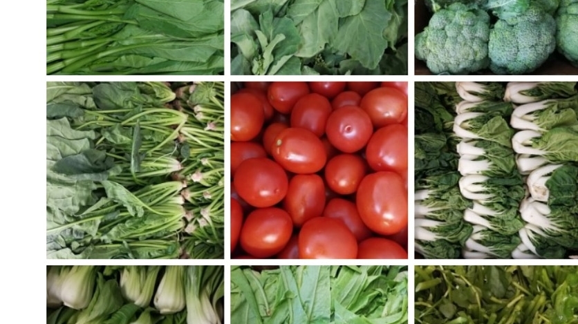 Global Grocery Store环球超市 | 136 Longworth Ave, Charlottetown, PE C1A 5B2, Canada | Phone: (902) 370-2368