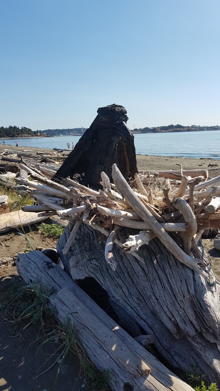 Parking lot Lagoon beach | 3384 Ocean Blvd, Victoria, BC V9C 1W7, Canada