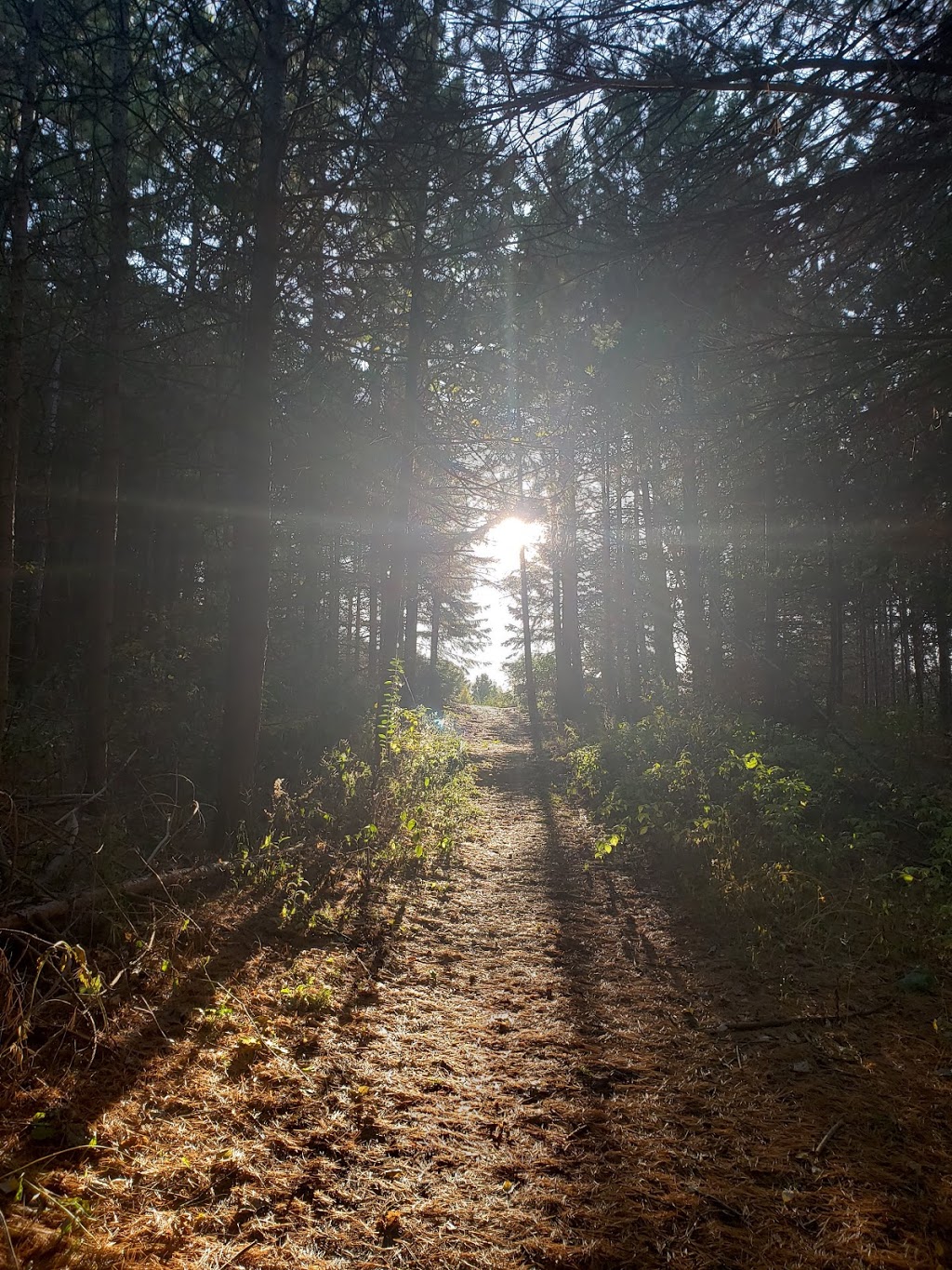 Scanlon Creek Conservation Area - 2450 9th Line, Bradford, ON L3Z 2A5 ...