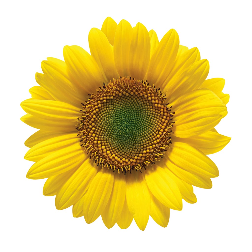 Yoga Inner Spirit | 2560 Crown Crest Drive, West Kelowna, BC V4T 3N3, Canada | Phone: (250) 707-6190