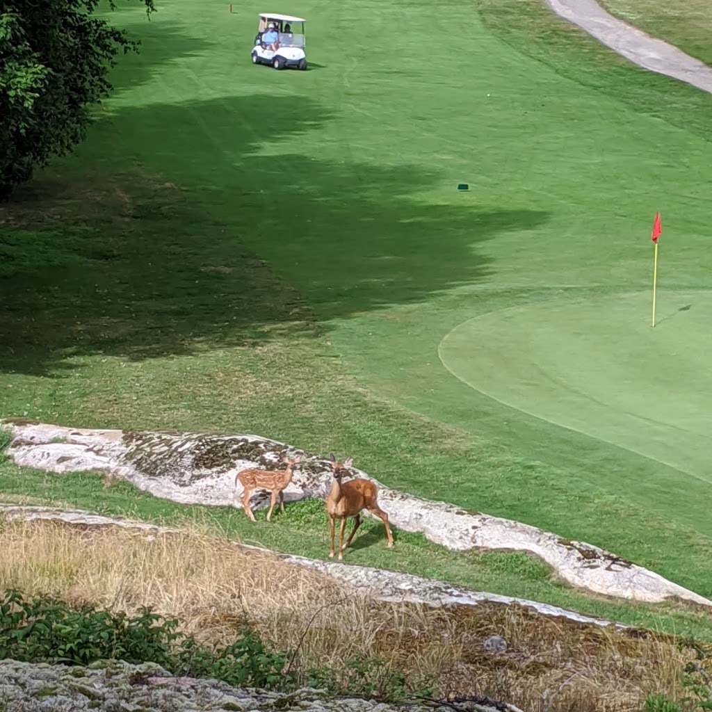 Parry Sound Golf & Country Club | 50 George Hunt Memorial Dr, Parry Sound, ON P2A 2W9, Canada | Phone: (705) 342-5262