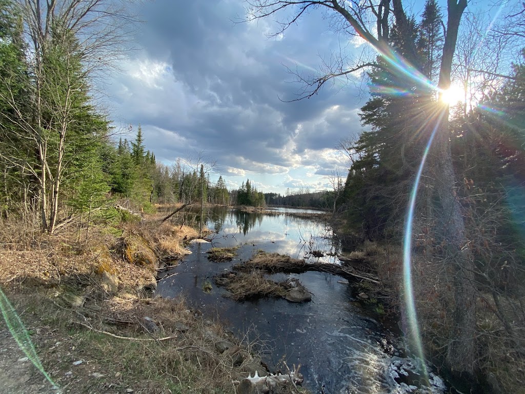 Daniel treehouse | 906 Brinklow Rd, Coe Hill, ON K0L 1P0, Canada | Phone: (416) 888-4137