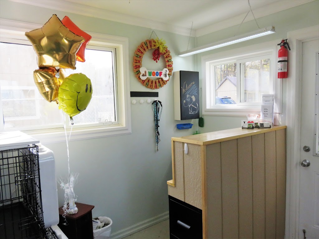 Hometown Kennels And Grooming | 421 Oxford 2, Princeton, ON N0J 1V0, Canada | Phone: (519) 536-0954