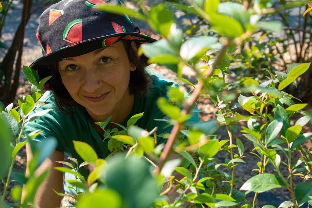 Blueberry Fields Forever (Duncan BC) | 5595 Jordans Ln, Duncan, BC V9L 6J1, Canada | Phone: (250) 715-0084