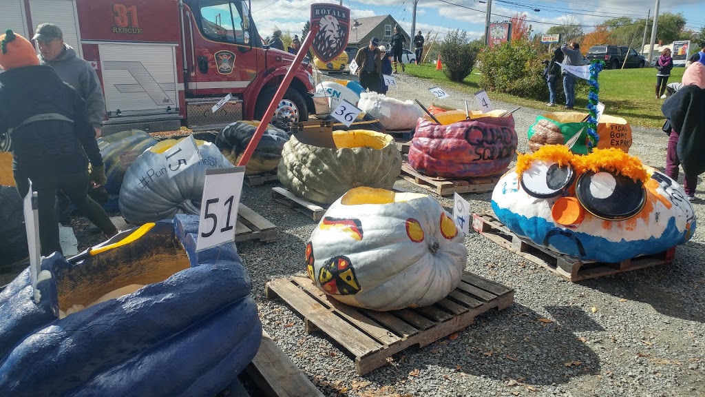 Irving Oil | 2113 Nova Scotia Trunk 1, Falmouth, NS B0P 1L0, Canada | Phone: (902) 798-2126