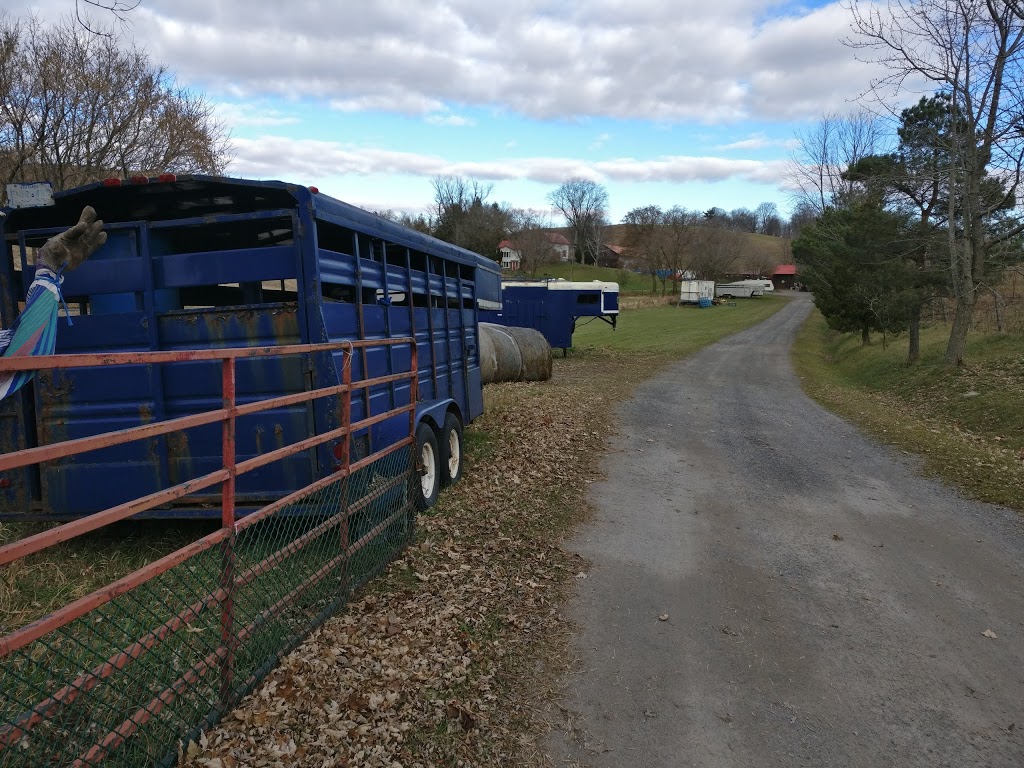 Ken Jen Petting Zoo | 4499 Grandview St N, Oshawa, ON L1H 7K4, Canada