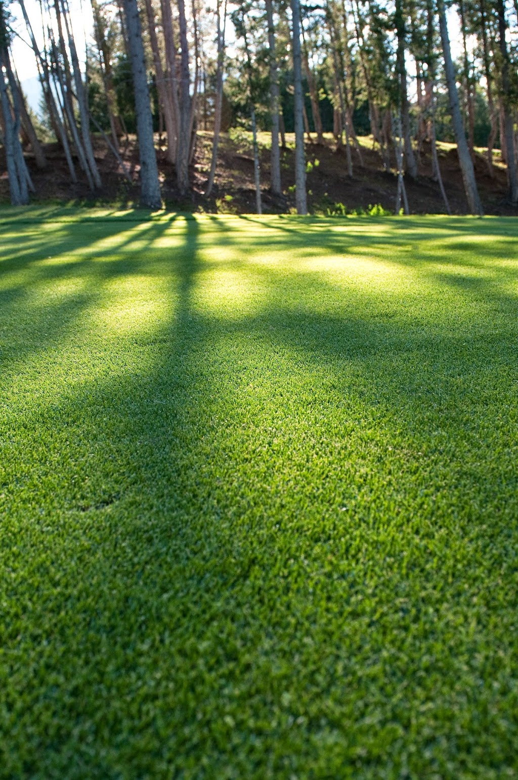Spur Valley Golf Resort | 4825 Luxor Station Rd, Edgewater, BC V0A 1E0, Canada | Phone: (250) 347-6500