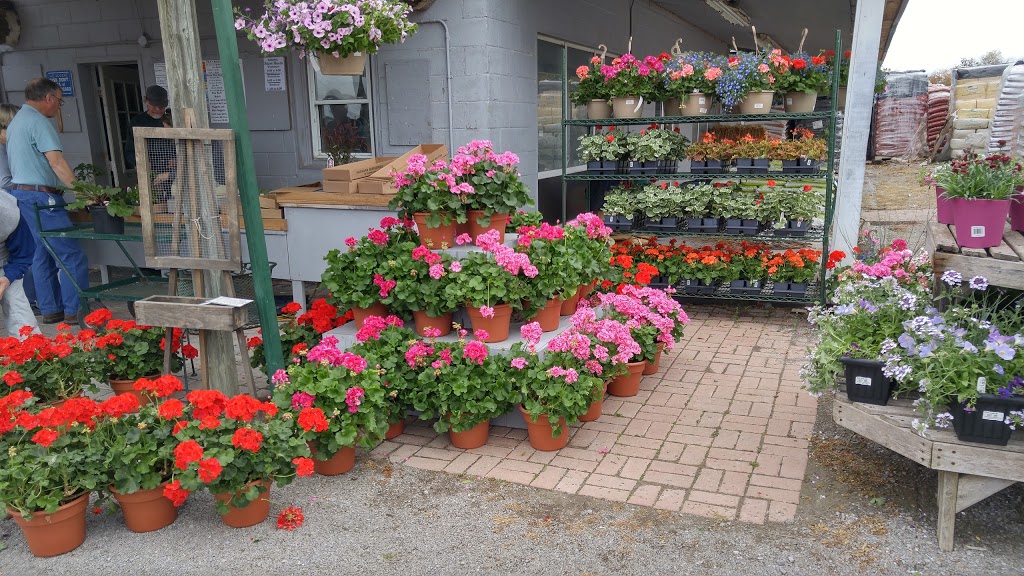 Niagara Nurseries | 1643 Niagara Regional Rd 81, St. Catharines, ON L2R 6P7, Canada | Phone: (905) 682-4783