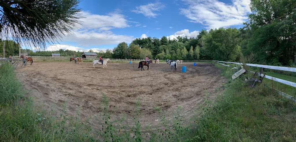 Écurie Beaux Champs | 17366 Rang Ste Marguerite, Mirabel, QC J7J 2E7, Canada | Phone: (450) 999-1331
