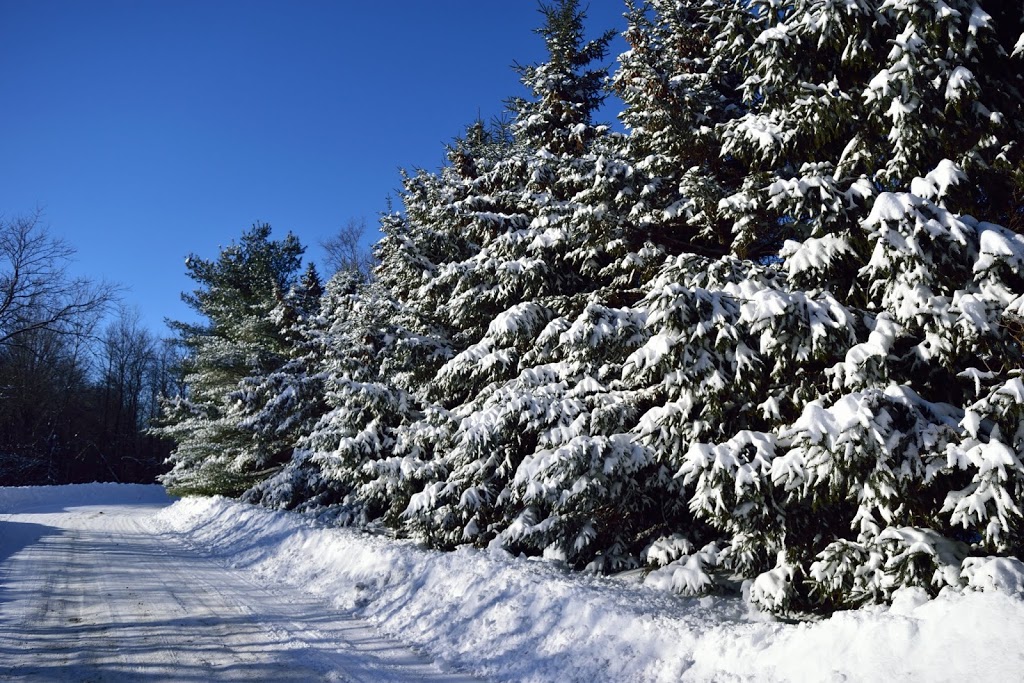 Parc Blueberry Hill | 2J7,, Rue Blueberry Hill, Saint-Lazare, QC J7T 2J7, Canada