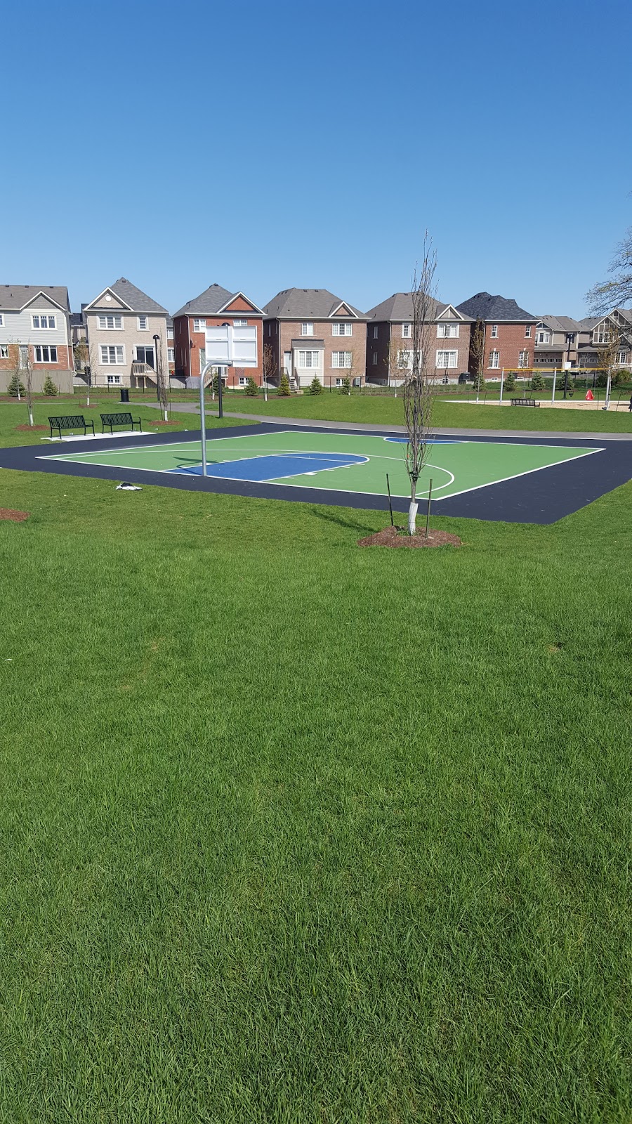 Leash Free Milton | 230 Cedar Hedge Rd, Milton, ON L9T 6J4, Canada | Phone: (905) 875-3286