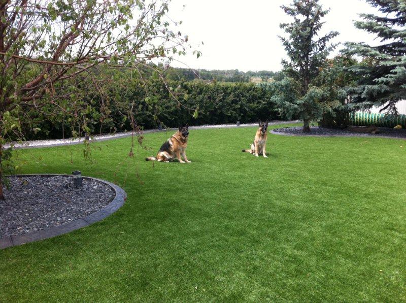 Active Turf | 124 Kendall St, Point Edward, ON N7V 4G5, Canada | Phone: (519) 337-0999