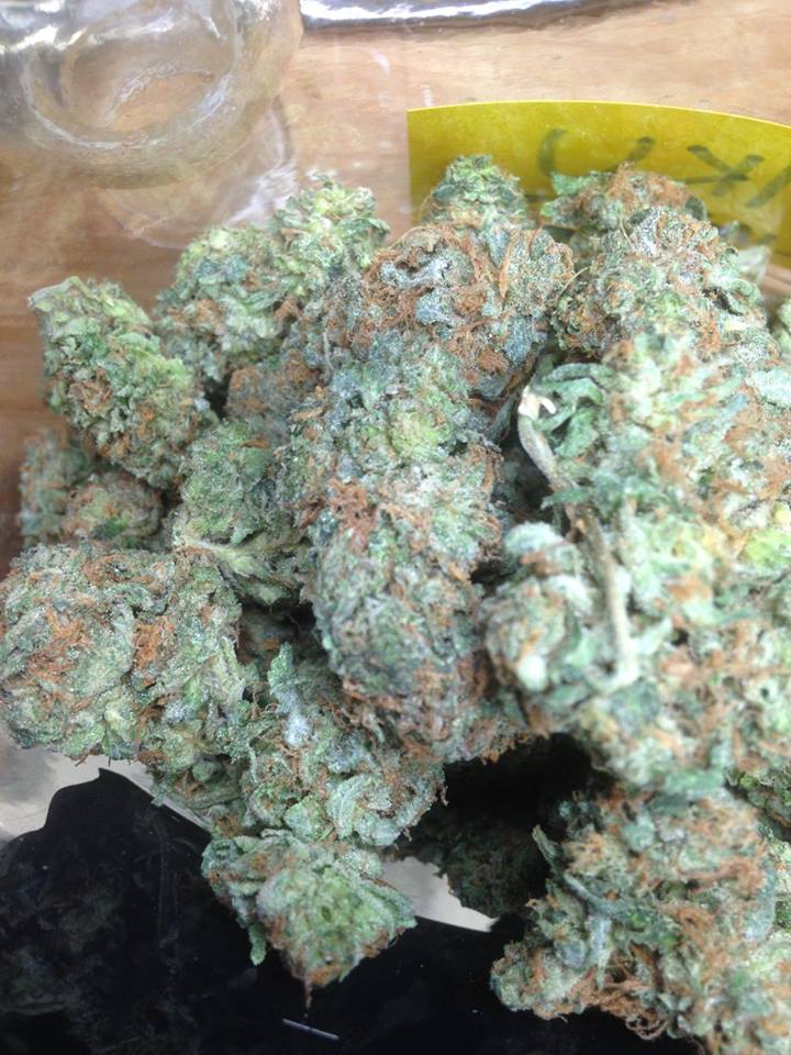 Medicinal Express | 1745 Nanaimo St, Vancouver, BC V5N 5C1, Canada | Phone: (604) 428-3420