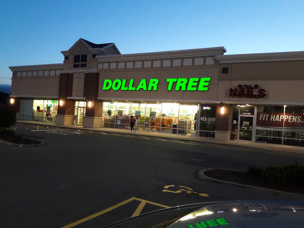 Dollar Tree | 800 Harlem Rd, West Seneca, NY 14224, USA | Phone: (716) 515-4130
