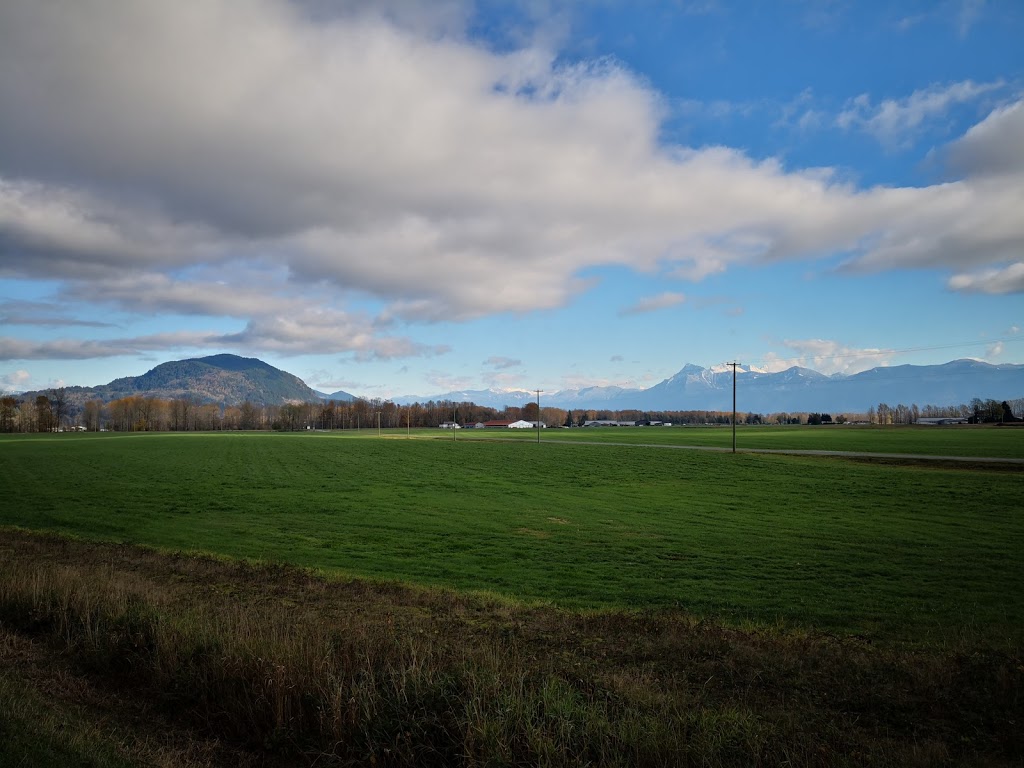 Eagle Eye Gallery | 41705 Taylor Rd, Deroche, BC V0M 1G0, Canada | Phone: (604) 826-4459