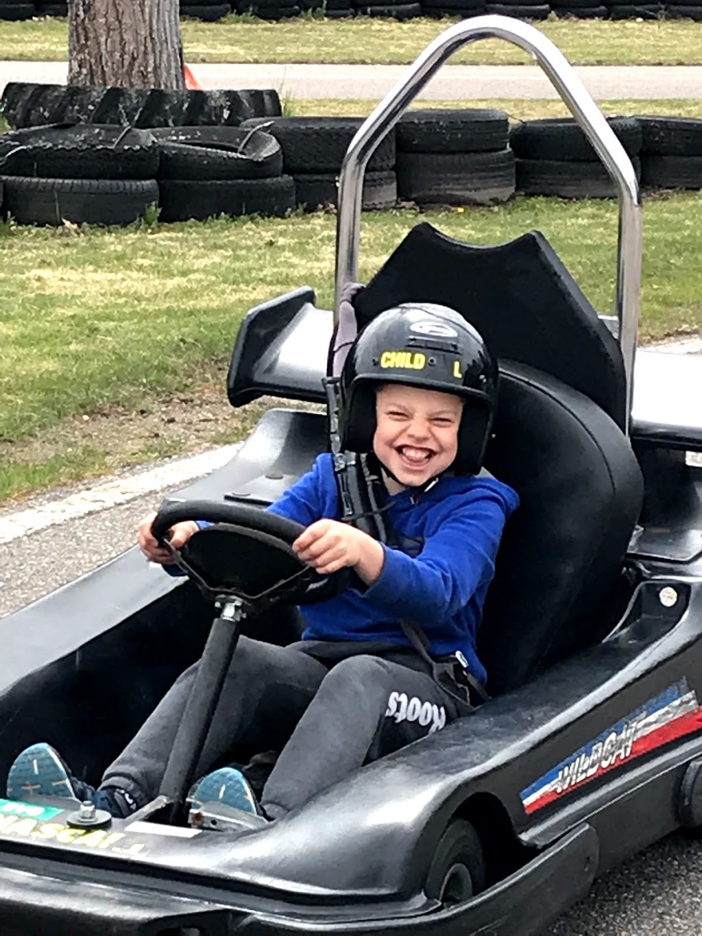 Balm Beach Go Karts & Mini Putt | 239 Balm Beach Rd W, Tiny, ON L0L 2J0, Canada | Phone: (705) 526-6801