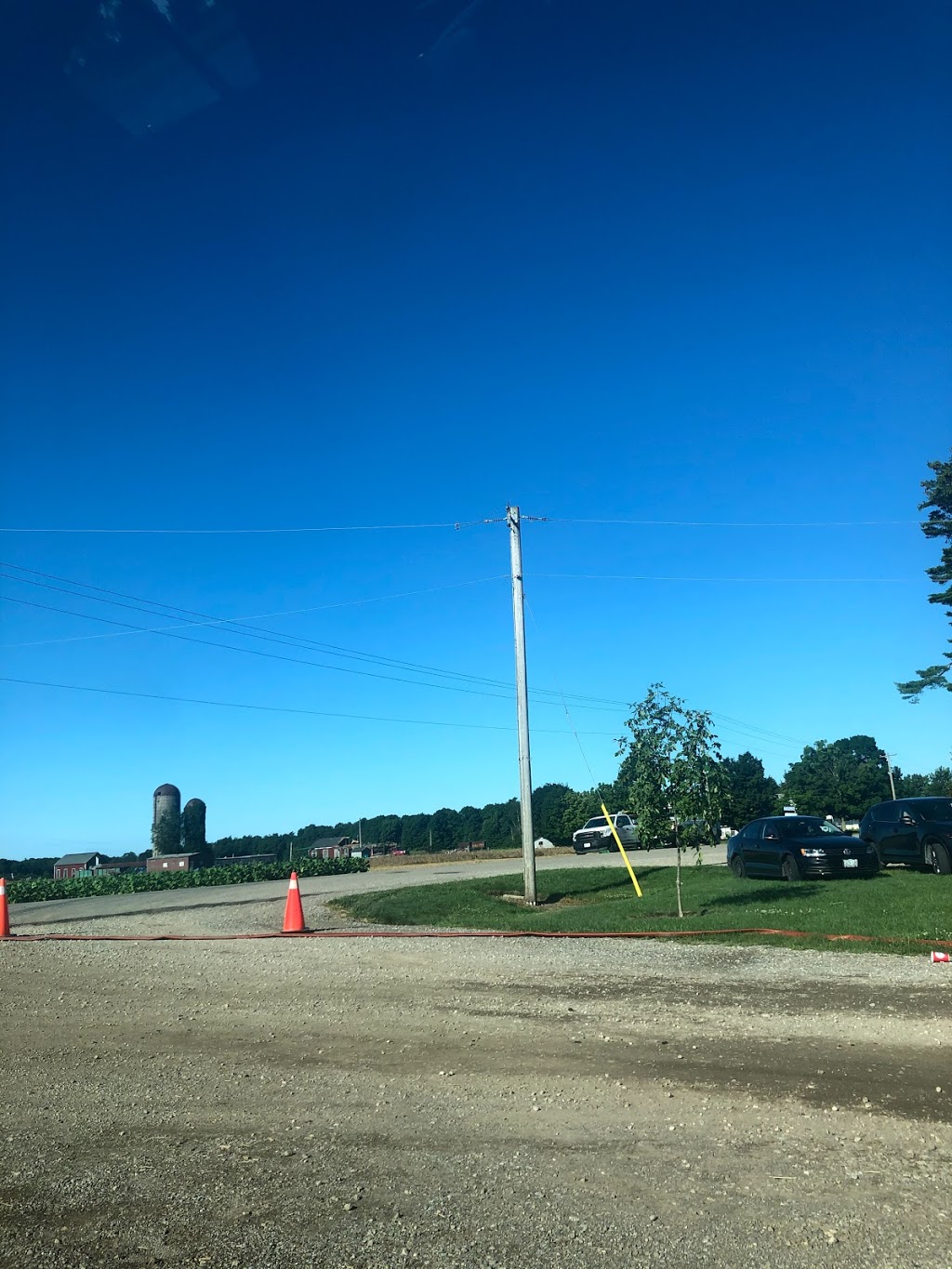 Field and Flock Farms | 50292 Vienna Line RR2, Aylmer, ON N5H 2R2, Canada | Phone: (519) 765-1005