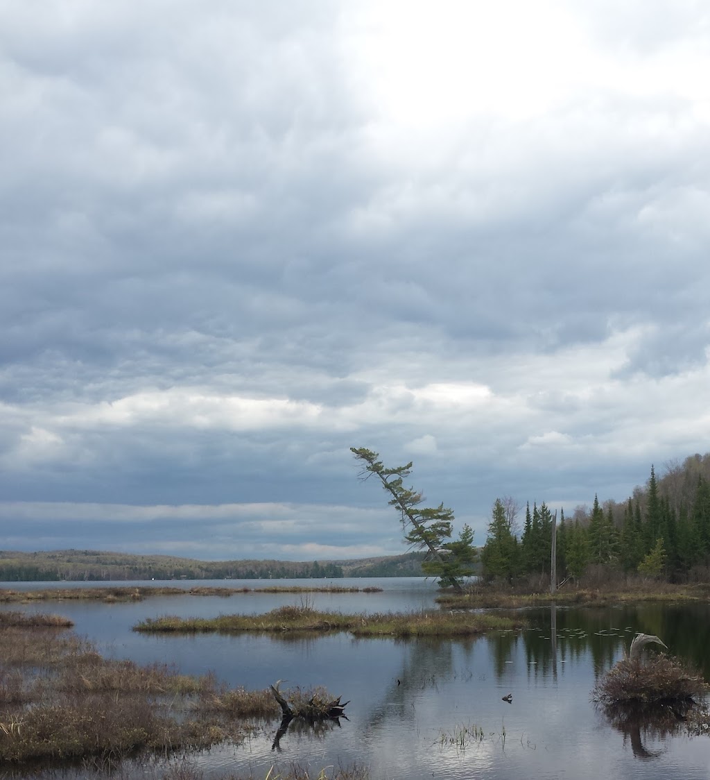 Camp Eden Woods | 6073 Elephant Lake Rd, Harcourt, ON K0L 1X0, Canada | Phone: (905) 882-1679