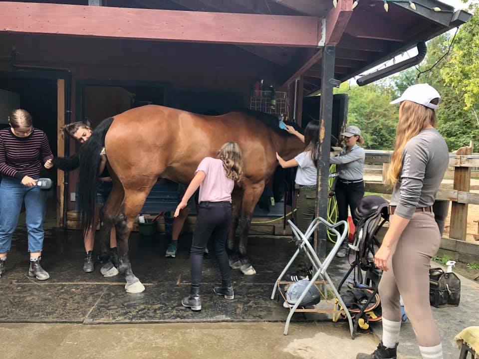 Pinecrest Stables | 7025 Macdonald St, Vancouver, BC V6N 1G2, Canada | Phone: (604) 220-2170