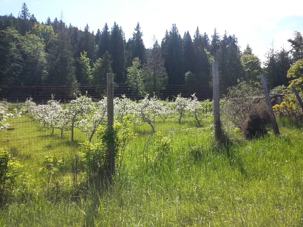 Money Family Farm | 184 E Point Rd, Saturna, BC V0N 2Y0, Canada | Phone: (250) 539-5381