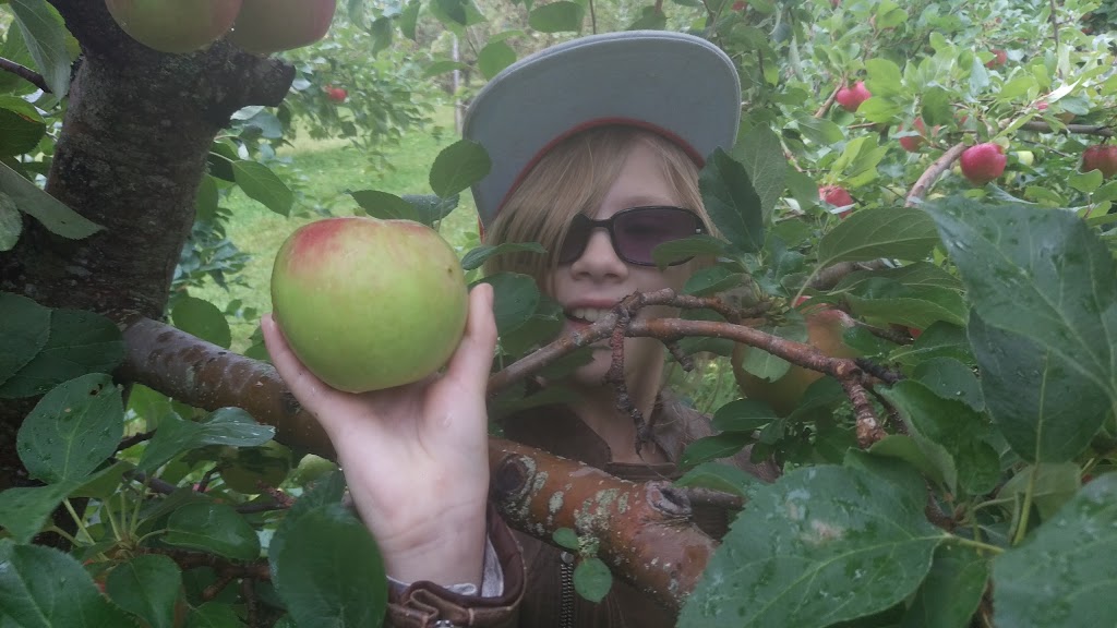 Arlington Orchards | 150 Orchard Rd, Arlington, PE C0B 2C0, Canada | Phone: (902) 831-2965