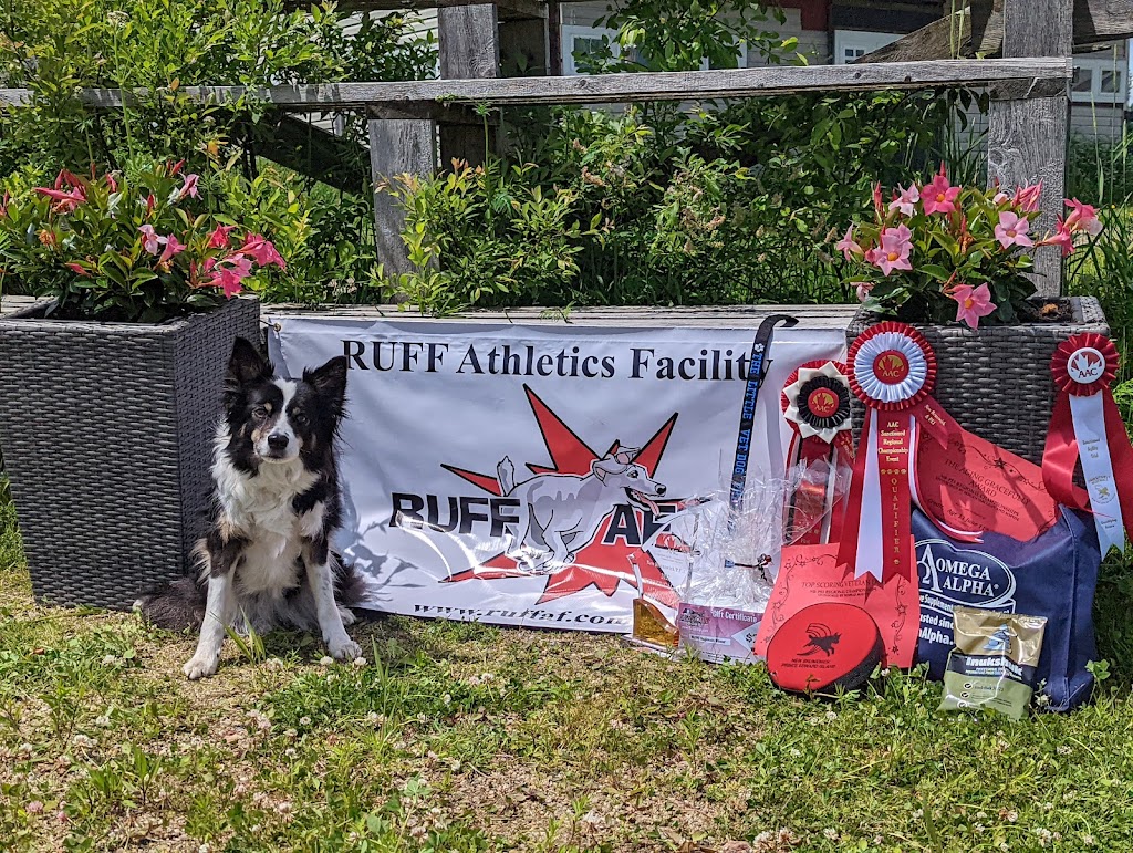 RUFF Athletics Facility | 130 Old Shediac Rd, Memramcook, NB E4K 1W1, Canada | Phone: (519) 830-3647