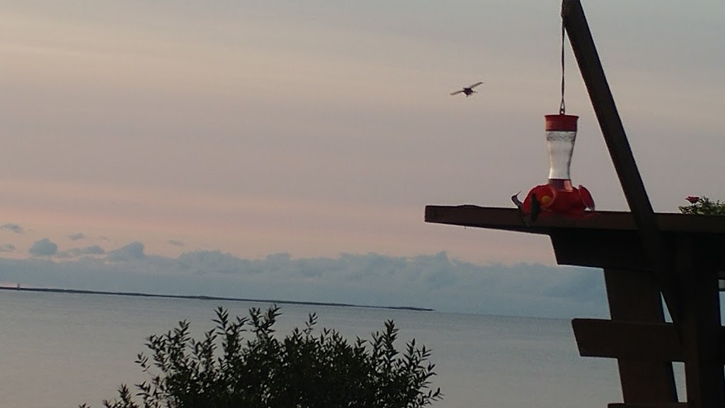 Au Bord de la Baie | 860 NB-475, Baie de Bouctouche, NB E4S 4P8, Canada | Phone: (506) 866-4493