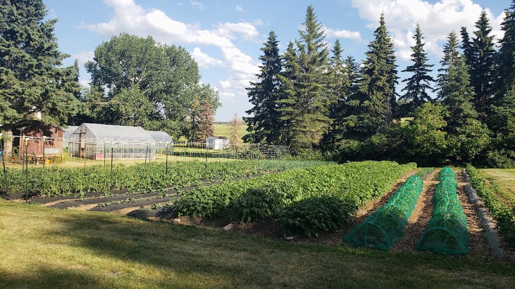 Pitchfork Gardens | 551058 Hwy 831, AB T0B 2R0, Canada | Phone: (780) 405-0330