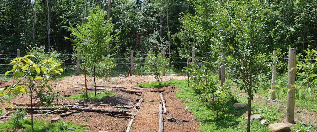 Living Landscapes | 2514 Harmony Rd, Corbyville, ON K0K 1V0, Canada | Phone: (705) 313-4769