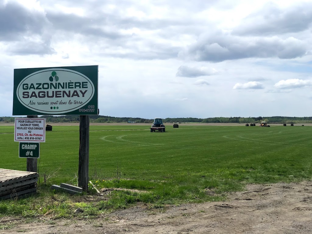 Gazon Bouchard - La relève | 2693 Chem. du Plateau N, La Baie, QC G7B 0H1, Canada | Phone: (418) 818-0787
