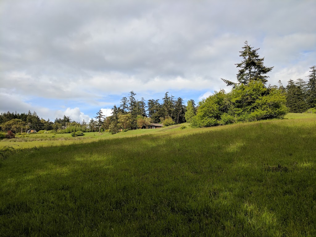 Wittys Lagoon Regional Park - Metchosin Road Parking Lot | 3920 Metchosin Rd, Victoria, BC V9C 4A5, Canada