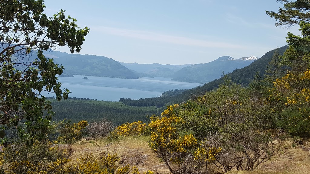 Cowichan Lake Recreation | 8550 Hemlock St, Youbou, BC V0R 3E1, Canada | Phone: (250) 745-3712