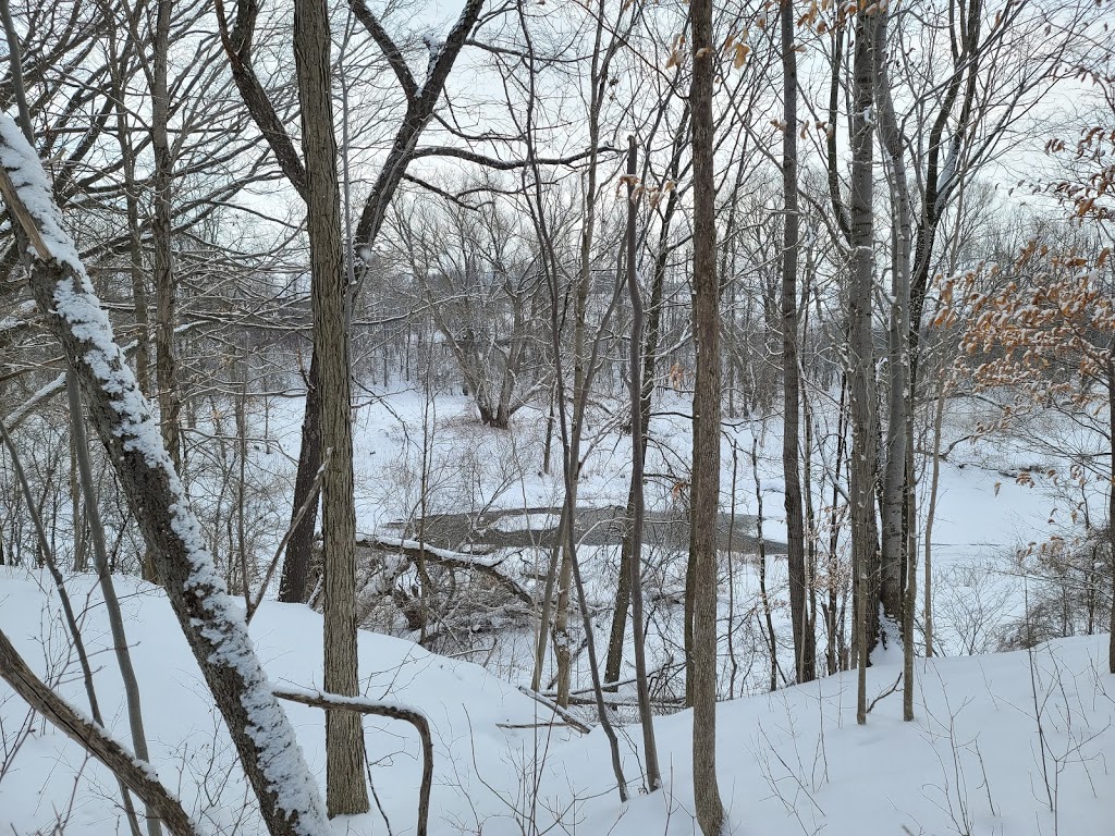 Riverbend Equestrian | 34219 Neil Rd, Lucan, ON N0M 2J0, Canada | Phone: (519) 661-7703
