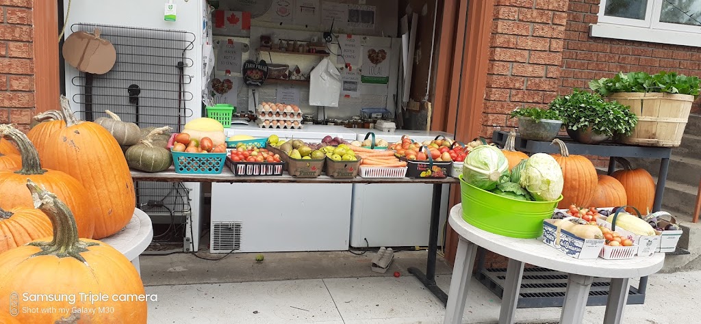 Mono Farm | 933128 Airport Rd, Mono, ON L9W 6C9, Canada | Phone: (647) 887-3255