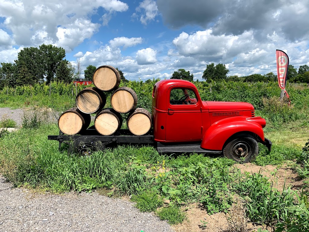 Thirty-Three Vines Inc | 9261 Hwy 33, Greater Napanee, ON K7R 3K7, Canada | Phone: (613) 373-0303