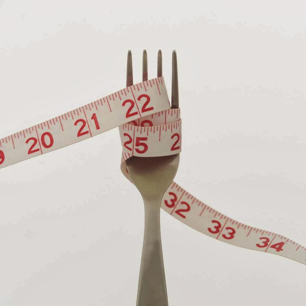 The Sensible Diet | 675 Grandview Dr, Oshawa, ON L1H 7V9, Canada | Phone: (905) 243-1581