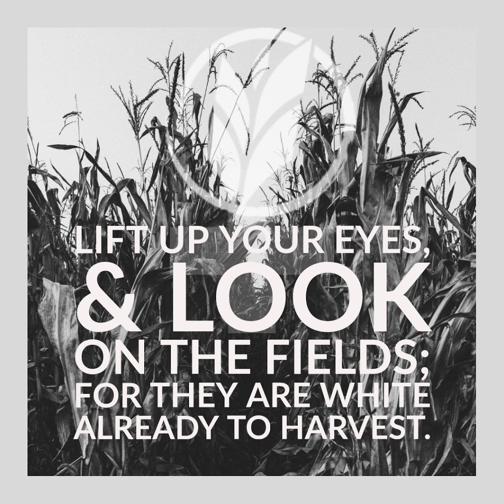 Victory Baptist Church | 3428 Portage Ave, Winnipeg, MB R3K 1K8, Canada | Phone: (204) 832-6268