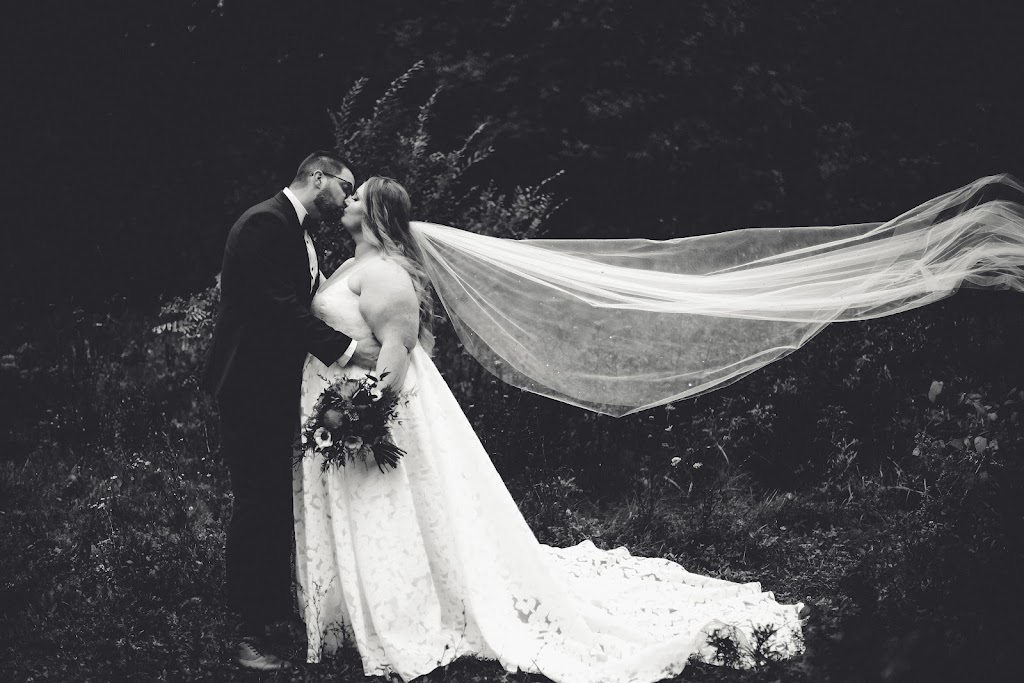 K Bird Photography | 1070 Thrasher Rd, Plainfield, ON K0K 2V0, Canada | Phone: (416) 574-4239