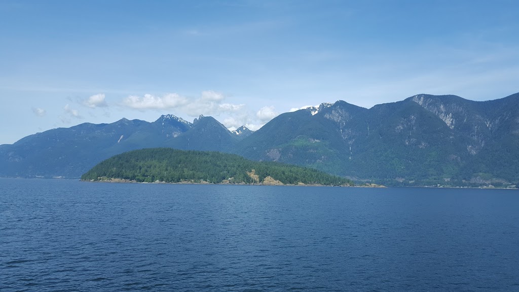 DogZen | Wellington Dr, North Vancouver, BC V7K 1L1, Canada | Phone: (604) 889-4041