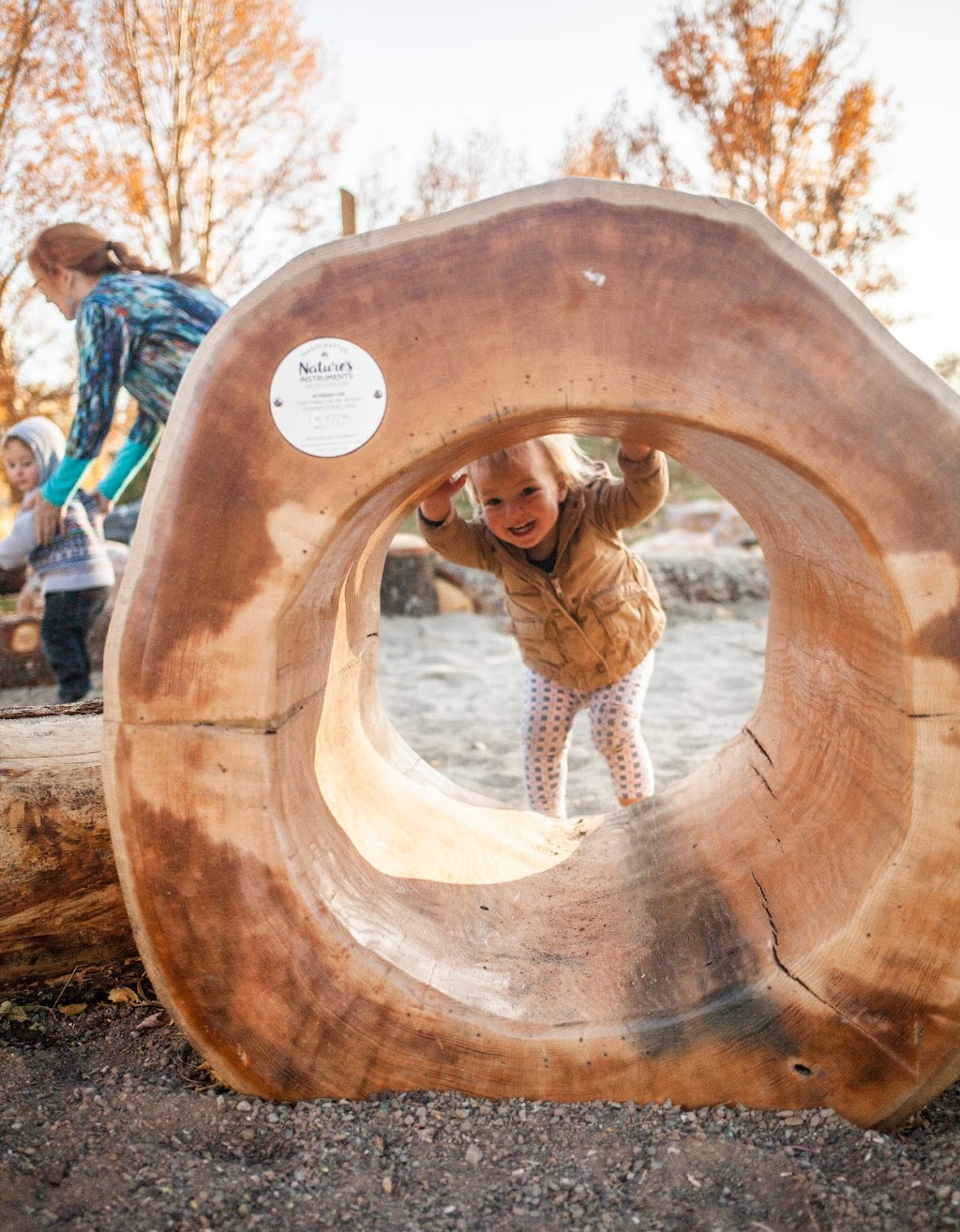 Bienenstock Natural Playgrounds | 1117 ON-8, Hamilton, ON L9H 5E1, Canada | Phone: (800) 306-3319