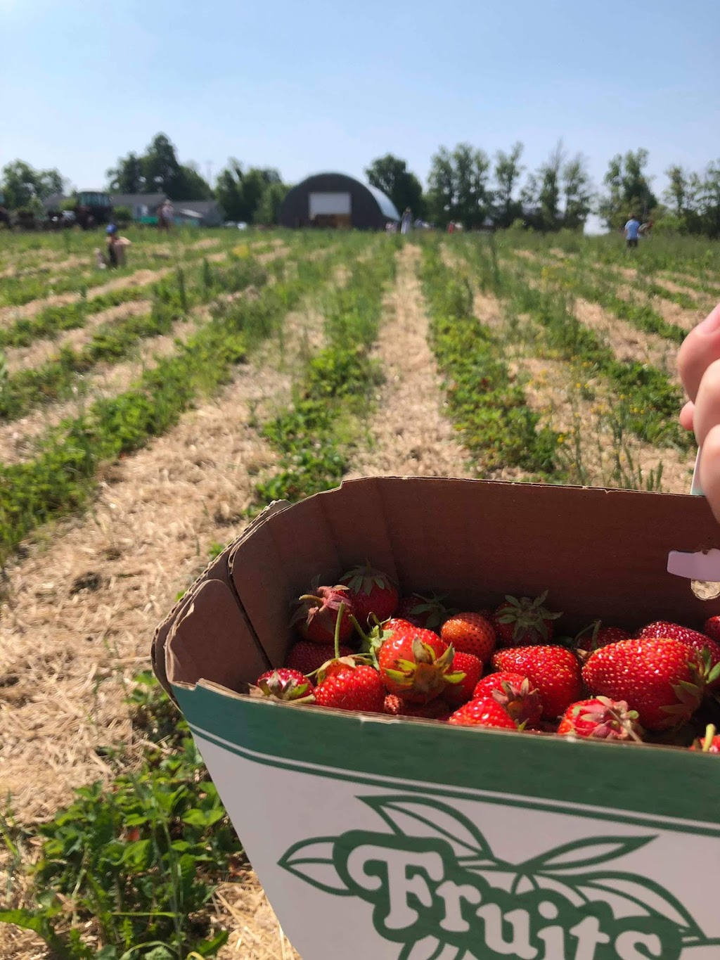 R Family Farm | 3560 3 Line, Cookstown, ON L0L 1L0, Canada | Phone: (705) 812-2373