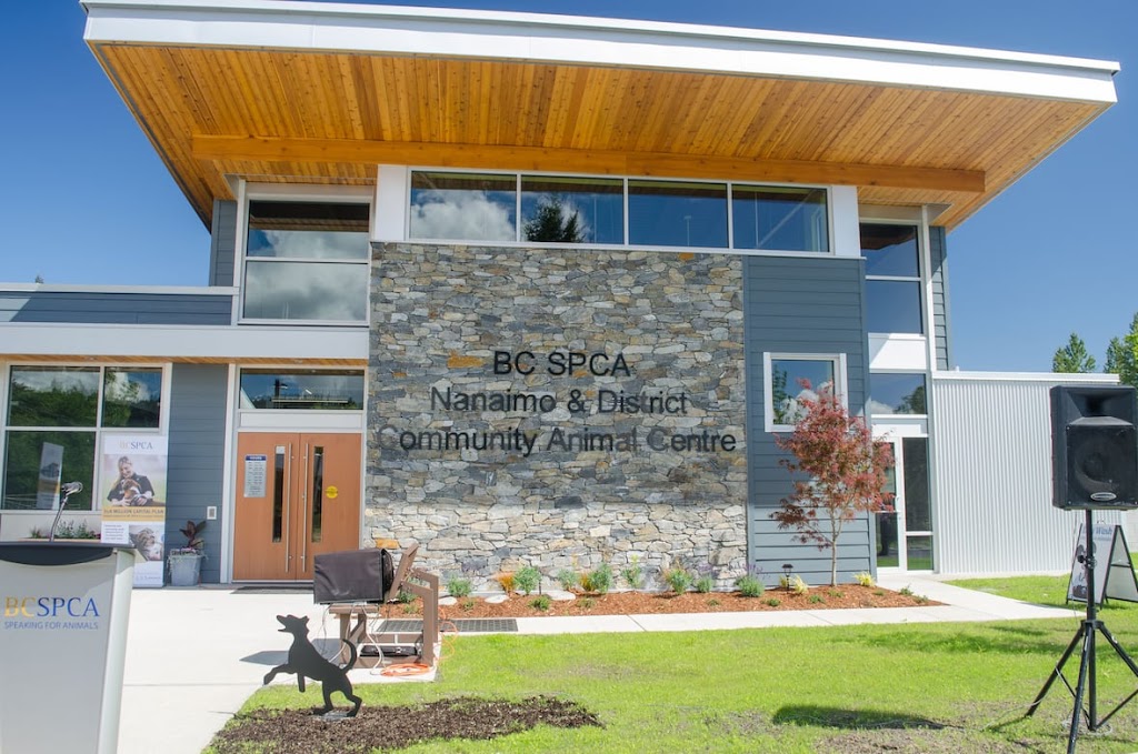 Central Bark | 154 Westwood Rd, Nanaimo, BC V9R 6R8, Canada | Phone: (250) 741-0778