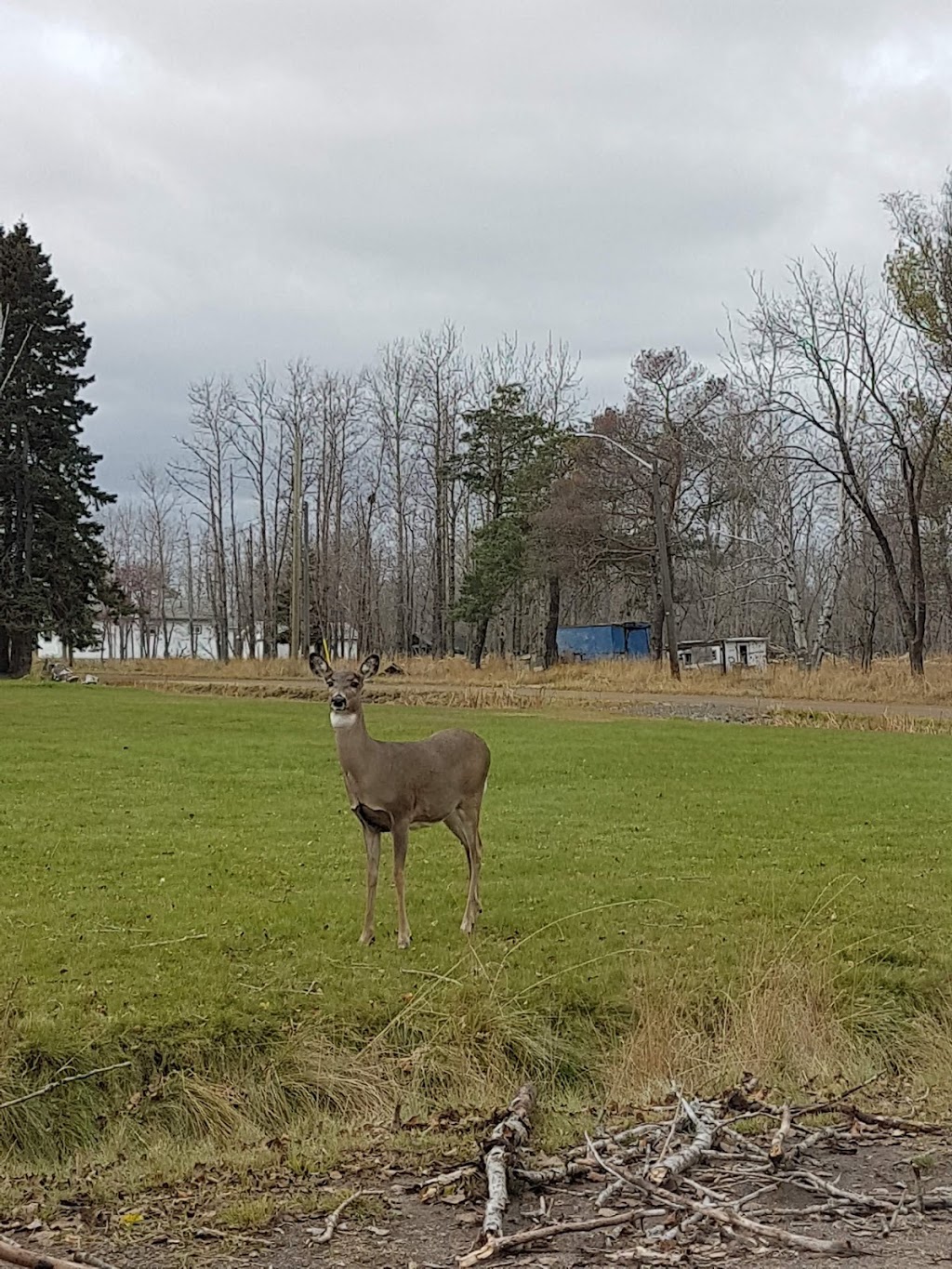 Mission Marsh Conservation Area - Parking Lot | 106th St, Thunder Bay, ON P7E, Canada | Phone: (807) 344-5857
